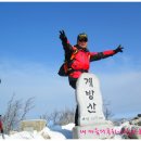 천지산악회,제229차 신년 정기산행 계방산(1월6일,토요일) 이미지