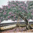 그리다, 강릉 이미지