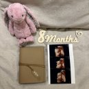 초록마을첨단월계점 | [임신일기] 29주 ~ 39주 임신 후기 / 리튼이 지구별 도착!