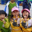 담양남초교 유치원 이미지