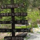 푸른새벽캠프장 이미지