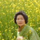 (주)자연들