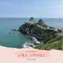 137-2-000028 | 부산 오륙도 스카이워크 주차장, 해맞이공원 후기