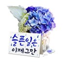 늘청춘