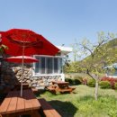 청도강변돌고래펜션 이미지