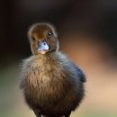 선근이네 이미지