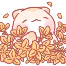 공립알록달록 이미지
