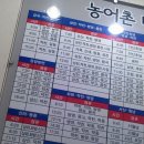 강진 버스여객터미널 이미지