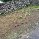 찬경축산 | 25년의 절반이 사라진 매직,,, 바쁘디 바쁜 6월 일상