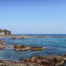 축산항초등학교 경정분교장 이미지