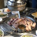 섬돼지 이미지