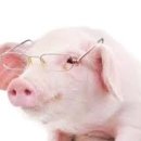 내가 돼지라니 이미지