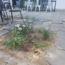 (주)두영이엔지 - 안산시 단원구 풍전로 37-9 | (주)두영이엔지