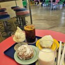 하이도나 이미지