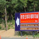문경 오미자테마터널 티스토리