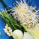 남부고기 | 고기만두 &amp; 김치만두 만들기 내돈내산 후기 (feat 남부여성발전센터)