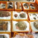 창리  도토마을 | [스크랩]5. 해창만 포구의 토착민·왜·진도 사람들