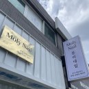 몰리네일
