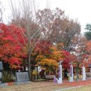 곡성생태체험관 이미지