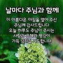 뜻밖의 선물 이미지