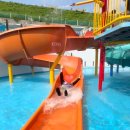 닥터랄랄라 | 천안 아산 스파비스에서 시원하게 물놀이 한 후기를 공유드려용😍😍