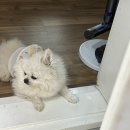 하람농장 | 밀린 1-2월의 기록,