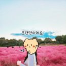 위니비니프리미엄아울렛 | 대전 현대 아울렛 위니비니