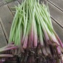 동창식당 이미지