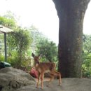 천시원교육농장 이미지