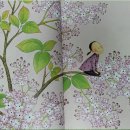 그림책 꽃 피었네 이미지