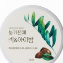 비비전