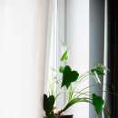 지도 바깥 이미지