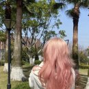핑크헤어 이미지