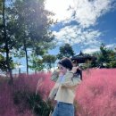 (주)옐로우박스 이미지