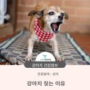 청학동물병원 이미지