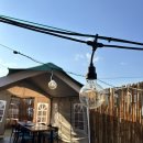 홍시스테이 이미지