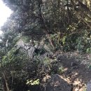 토산2리 이미지