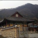 플렛홈