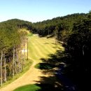 해운대비치골프앤리조트 이미지