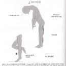 요추 객관적인 신경학적 검사(Objective Neurologic Examination) 이미지