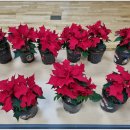 구의3동주민센터 이미지