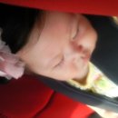 까까먹개 이미지