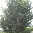 솔마루민박 이미지