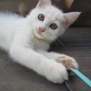 물빛인쇄소 이미지