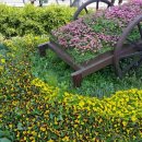 새광명행정사 이미지