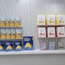 강남애견 이미지