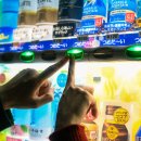 현지 여행 일본어(야간) | 일본 후쿠오카 여행 / 일본 후쿠오카 스냅 찐 후기/ 크리스마스 스냅 / 돈키호테 텐진본점 거리 야간...