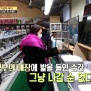 서민갑부반품마트 이미지