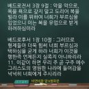 비앤비팜