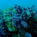 바다속이야기 이미지